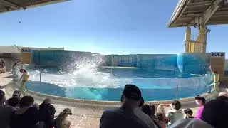 2022.11.03 Wave～きみの波になりたい～ 12:00 / 新江ノ島水族館