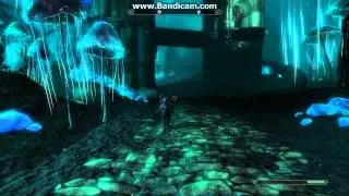 Skyrim Where to go to recover the elder scroll in Blackreach