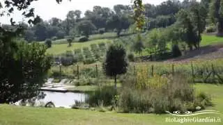 Un biolago immerso nel verde a Fratte Rosa, in provincia di Pesaro