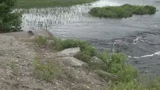 Baxter State Park and surrounding trails see flooding for hikers