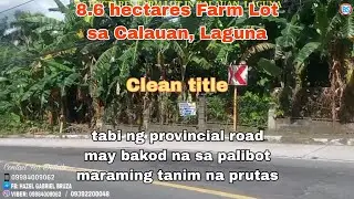 (P# 765) 650 per sqm Farm Lot, 8.6 Hectares in Calauan, Laguna available for sale