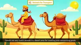 Ch 15 | EVS | Class 4 | Animals for Transport | For children