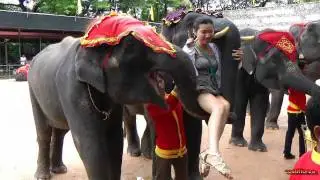 Thailand - Part 3/15 - Circus Nong Nooh Village,Pattaya -Travel, calatorii, worldwide -Omnia Turism