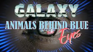 GALAXY - Animals Behind Blue Eyes (1988) - Songs for Teresa Orlowski - VTO Pictures - Lostwave