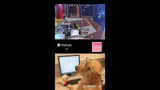 Thread Luck warm up Live stream