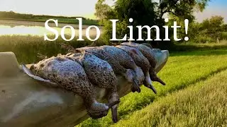 Solo MN early teal opener 2022 (Limited out)