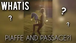 What on earth IS Piaffe and Passage?