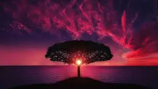 piano relaxing music🎶🎹