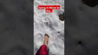 spring in Maine be like... #shorts #feet