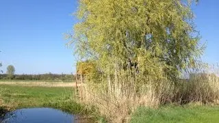 Cycling Trip - Dieburg to Babenhausen, Germany