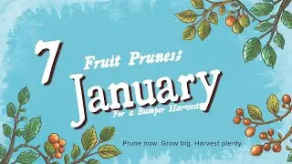 7 Fruit Trees You Must Prune in January for a Bumper Harvest!