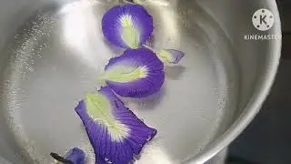 Magic Color Changing Tea!&nbsp;✨ Butterfly Pea Flower Drink Recipe 