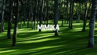Best of NCS ♩ Best Ultimate 1Hour Version &rarr; House, Electro House, Dubstep, Trap ❀