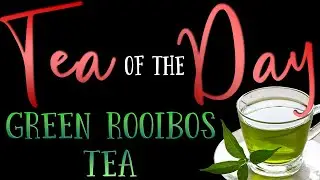 Tea of the Day #11 - Green Rooibos Tea