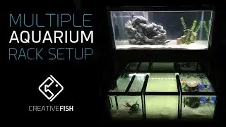 The DIY Multiple Aquarium Rack Is Complete