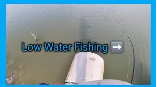 Fishing Low Water Levels at Choke Canyon Reservoir | Texas Fishing Action