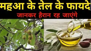 Mahua Oil Review | महुआ के तेल के फायदे | Uses and Benefits | and how to use | in hindi 🔥