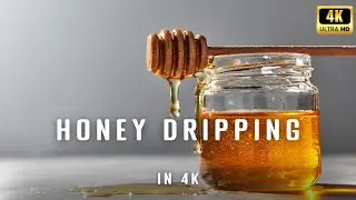 RELAXATION Mode Activated with Soothing Honey Dripping 4K Visuals