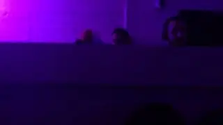 Joseph Capriati Washington DC Malmaison March 7 2013 no 2