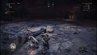 First time using a sword and a shield against a monster (as a switch axe main)