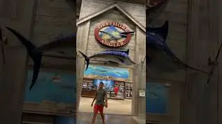 Offshore Angler | Fishing Pole |  Fishing store #shorts #pole #store #offshore #shop