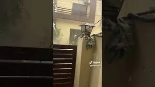 #islamabad #hailstorm #rain #rainsounds #hailstorms #weather