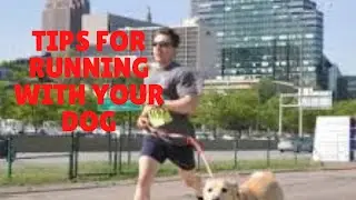 Tips for Running with your Dog.