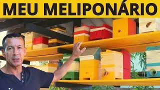 VEJAM MEU PEQUENO MELIPONÁRIO - Como Estruturei E Acomodei Minhas Abelhas Sem Ferrão