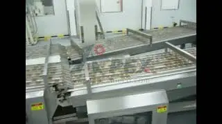 Automatic Cookie Cup Loading System-APEX MACHINERY