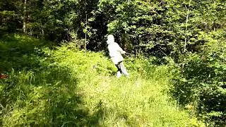 5 июня 2018 г.