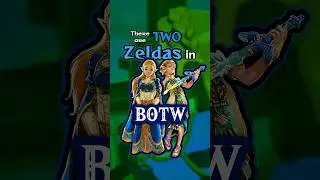 В Breath of the Wild есть две Зельды. #zelda #zeldabotw #zeldatotk #nintendo