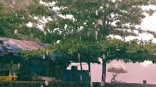 Overcome Stress to Sleep Instantly with Heavy Rain & Paramount Thunder Sounds on a Tin Roof at Nigh