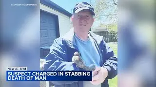 HVAC contractor stabbed to death in broad daylight while working on Chicago roof