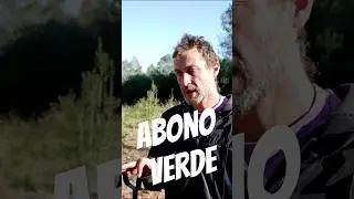 ABONO VERDE. &iquest;Qu&eacute; semillas debes plantar para regenerar la tierra?