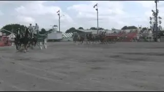 2012 Paris Fall Fair 4 Horse Hitch