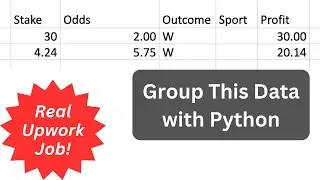 Python Pandas/Excel Practice: Group Data into New Sheet