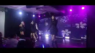 20251129 Kizuna vol.1✨ 星途共行⭐️ @雲之端