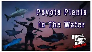 Peyote Plants in the Water in GTA Online