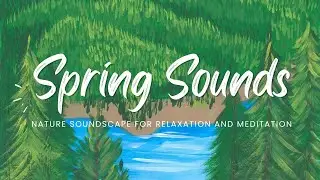 Calm Spring in Evening - Nature Soundscape for Relaxation and Meditation
