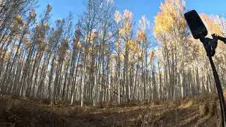 Elk Hunting Southern Colorado by Groundhog Lake Lone Cone Black Mesa Wilson Peak Highlights 2023