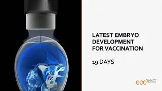 EggInject, The New Generation of In-Ovo Technology | Ceva Indonesia