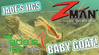 Zman Fishing Baby Goat with Jade's Jigs EWG Finnesse Jig | Underwater Lure Showcase 1 | #shorts