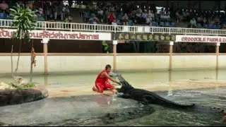 Fast Hand abgebissen! Krokodilshow in Thailand-Hand almost bitten off during Crocoshow in Thailand