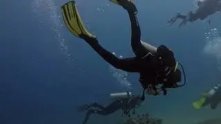 Sharks Egypt @ Safe Sinai 7