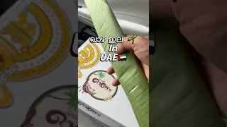 BANANA LEAVES IN UAE || EXPENSIVE TO BUY || വാഴയില  IMPORTING     #logistics #shipping #importexport