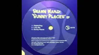 Shawn Ward - Digital Bug