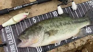 KOREA Clear lake ! (Fish Arrow x DRT RiserJack)