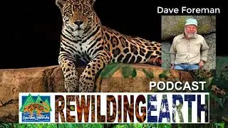 Episode 1 Rewilding Earth Podcast: Dave Foreman 