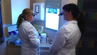 ABQ Dentists--Dr. Anne Scott