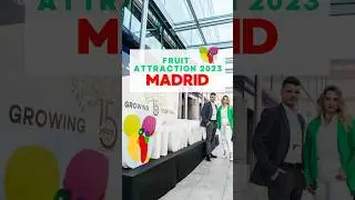 Levexport at the international exhibition Fruit Attraction 2023 in Madrid